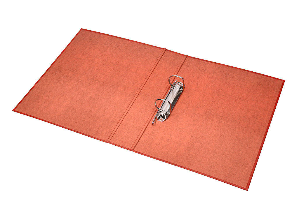 CARPETA DE 2 ANILLAS 25MM MIXTAS LIDERPAPEL FOLIO CARTON CUERO FORRADO COMPRESOR PLASTICO