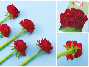 BOLIGRAFO ROSAS ITOTAL